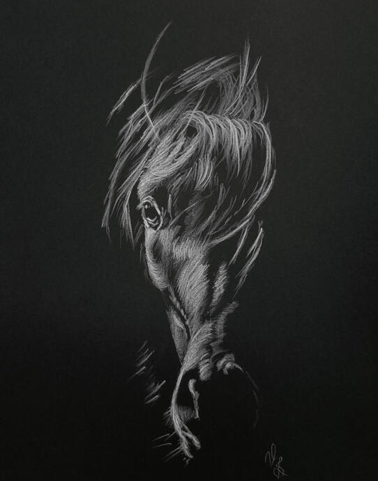 Charcoal on Paper